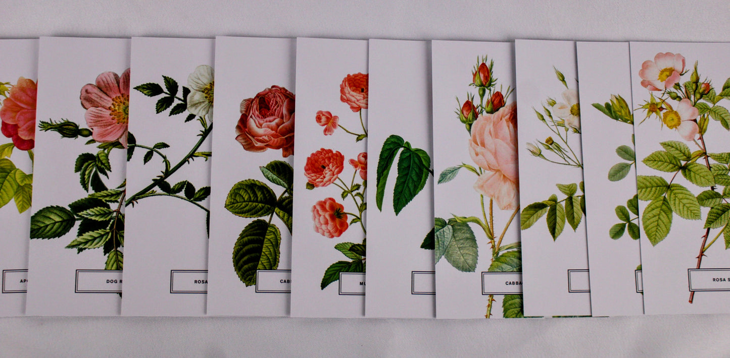 Vintage Style Botanical Postcards Prints